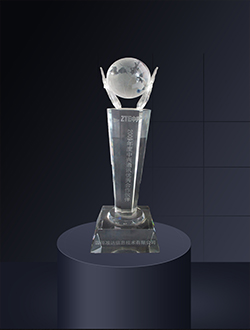 2009年度中興通訊優(yōu)秀合作伙伴